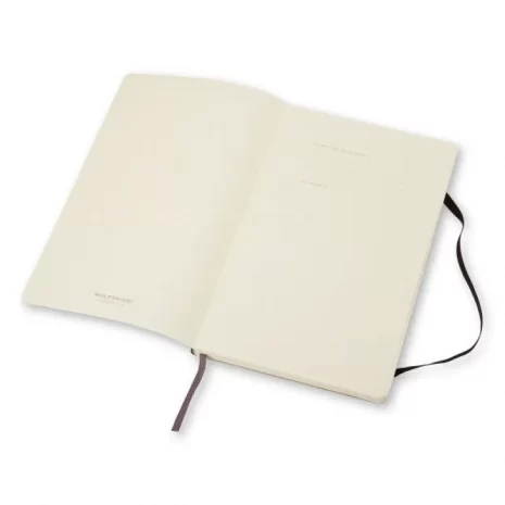 280012-278424-notes_moleskine_classic_l_13x21cm_gladki_mie-800w