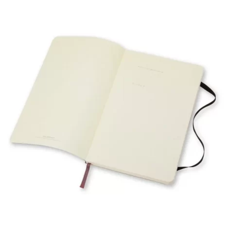 280097-278435-notes_moleskine_classic_l_13x21cm_w_linie_mi-800w