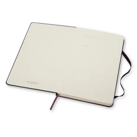 280105-278436-notes_moleskine_classic_l_13x21cm_w_linie_tw-800w