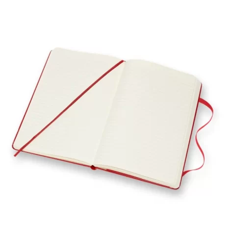 280115-278437-notes_moleskine_classic_l_13x21cm_w_linie_tw-800w