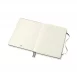 280449-278484-notes_moleskine_pro_project_planner_xl_19x25-800w